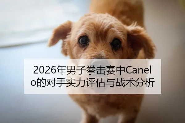 2026年男子拳击赛中Canelo的对手实力评估与战术分析