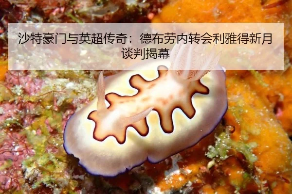 sha-te-hao-men-yu-ying-chao-chuan-qi-de-bu-lao-nei-zhuan-hui-li-ya-de-xin-yue-tan-pan-jie-mu-3-512.jpg