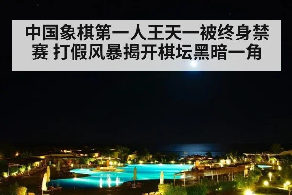 中国象棋第一人王天一被终身禁赛 打假风暴揭开棋坛黑暗一角